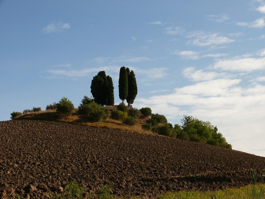 Due Torri Hotel San Severino Marche Buitenkant foto